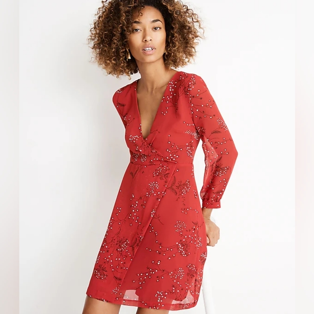 Madewell Scarlet Floral Mini Dress